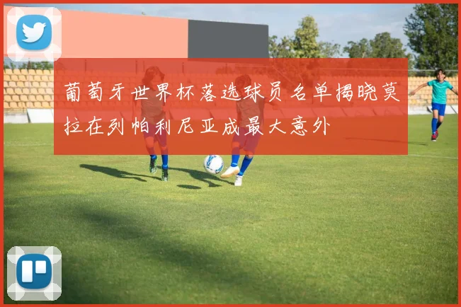 葡萄牙世界杯落选球员名单揭晓莫拉在列帕利尼亚成最大意外