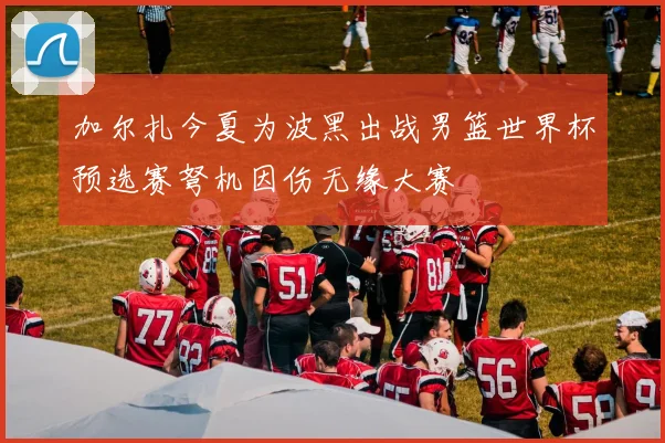 加尔扎今夏为波黑出战男篮世界杯预选赛弩机因伤无缘大赛