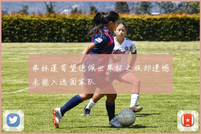 弗林蓬寄望德佩世界杯之旅却遗憾未能入选国家队